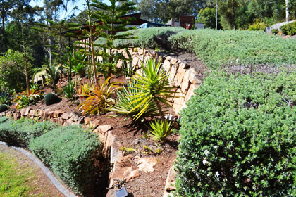 Sculptured garden with  retaining wall made from sized sandstone