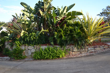 Sculptured garden with  retaining wall made from sized sandstone